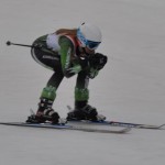 2011 All-Area Ski Team: Clarkston, Lake Orion head up talented cast of ski racers   
