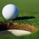 Avondale ties for 12th at D-2 golf finals