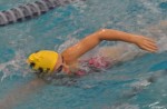 Lurking in the deep: Clarkston stepping up to chase area swimming powers   