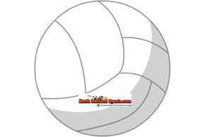 2011 ALL-OAA VOLLEYBALL