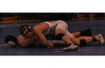 WRESTLING: Division 1 Rochester District Results