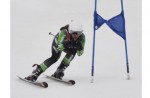 2012 ALL-AREA BOYS SKIING: State champion Clarkston leads elite group