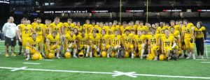FOOTBALL DIVISION 1 STATE FINALS: Belleville’s big-play offense stymies Rochester Adams’ title plans